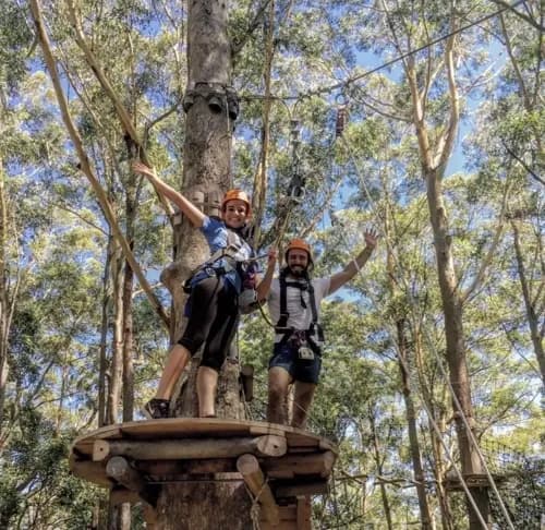 Swing, Scurry and Scramble Like Tarzan and Jane thumbnail